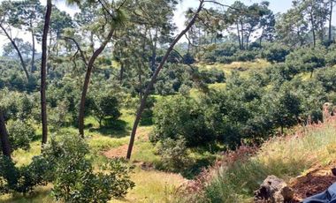 Rancho en venta Tancítaro Michoacan
