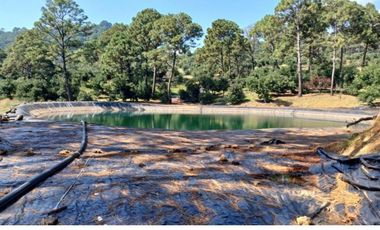 Rancho en venta Tancítaro Michoacan