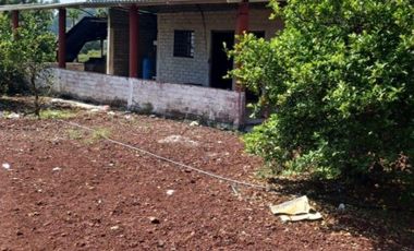 Rancho en venta Tancítaro Michoacan