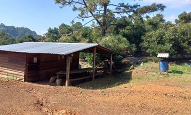 Rancho en venta Tancítaro Michoacan