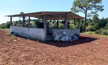 Rancho en venta Tancítaro Michoacan