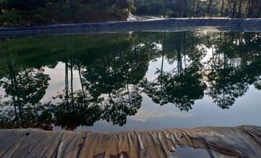 Rancho en venta Tancítaro Michoacan