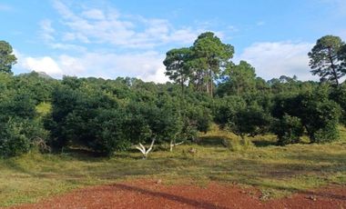 Rancho en venta Tancítaro Michoacan