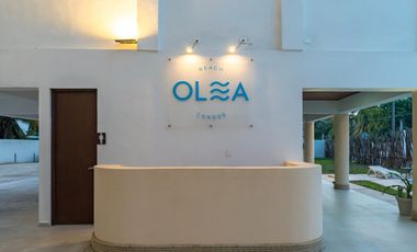 Departamento Amueblado en Planta Baja en Renta en Olea Beach, Chicxulub Puerto