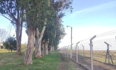 Terreno en venta - 890Mts2 - Mar del Plata