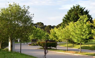 Terreno en venta - 890Mts2 - Mar del Plata