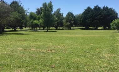 Terreno en venta - 890Mts2 - Mar del Plata