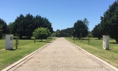 Terreno en venta - 890Mts2 - Mar del Plata