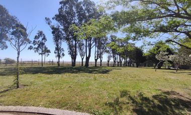 Terreno en venta - 890Mts2 - Mar del Plata