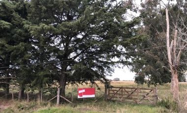 Chacra en venta - 642.074mts2 - Magdalena