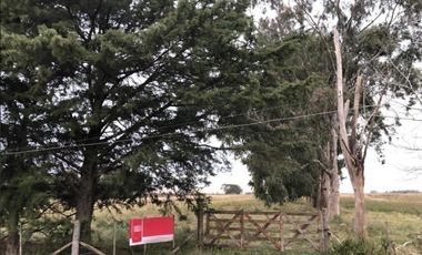 Chacra en venta - 642.074mts2 - Magdalena