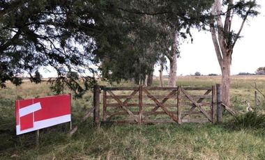 Chacra en venta - 642.074mts2 - Magdalena