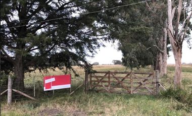 Chacra en venta - 642.074mts2 - Magdalena