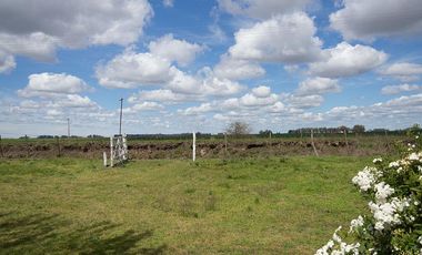 Casa en venta - 2 Dormitorios 1 Baño - Cochera - 1.400Mts2 - Urdampilleta, Bolívar
