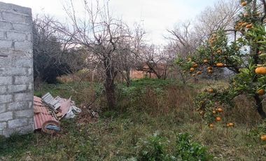 Casa en venta - 2 Dormitorios 1 Baño - Cochera - 1.400Mts2 - Urdampilleta, Bolívar