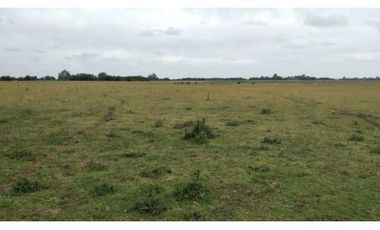 35 ha en San Miguel del Monte/ Videla Dorna