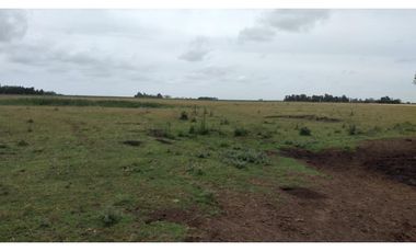 35 ha en San Miguel del Monte/ Videla Dorna