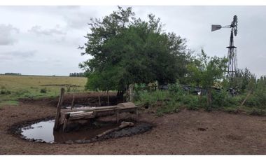 35 ha en San Miguel del Monte/ Videla Dorna