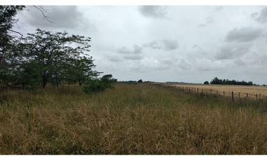 35 ha en San Miguel del Monte/ Videla Dorna