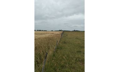 35 ha en San Miguel del Monte/ Videla Dorna