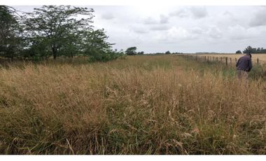 35 ha en San Miguel del Monte/ Videla Dorna