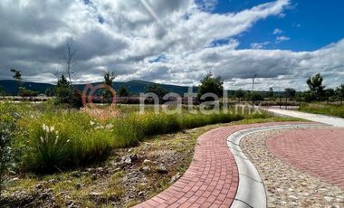 TERRENO CIVETTA CIUDAD MADERAS LAGOS MORENO VENTA