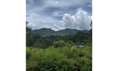 VENDO UNA HECTAREA+  EN JARAMILLO ARRIBA- CENTRO