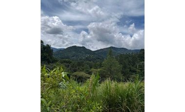 VENDO UNA HECTAREA+  EN JARAMILLO ARRIBA- CENTRO