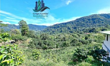 VENDO UNA HECTAREA+  EN JARAMILLO ARRIBA- CENTRO