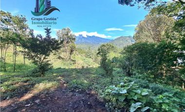 VENDO UNA HECTAREA+  EN JARAMILLO ARRIBA- CENTRO