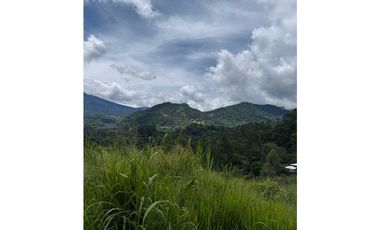 VENDO UNA HECTAREA+  EN JARAMILLO ARRIBA- CENTRO