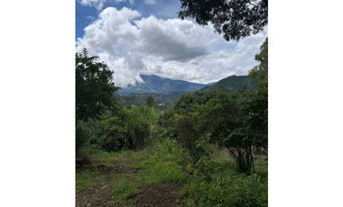 VENDO UNA HECTAREA+  EN JARAMILLO ARRIBA- CENTRO