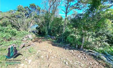 VENDO UNA HECTAREA+  EN JARAMILLO ARRIBA- CENTRO