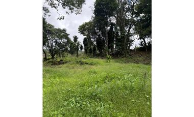 VENDO UNA HECTAREA+  EN JARAMILLO ARRIBA- CENTRO