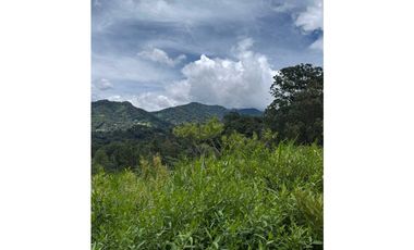 VENDO UNA HECTAREA+  EN JARAMILLO ARRIBA- CENTRO