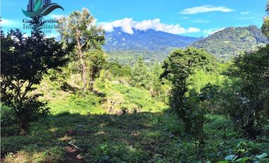 VENDO UNA HECTAREA+  EN JARAMILLO ARRIBA- CENTRO