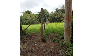 VENTA DE TERRENO EN ANTON 1000 MTS2