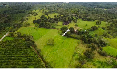 Finca de 4 hectáreas Potrerillo Abajo Chiriquí