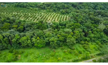 Finca de 4 hectáreas Potrerillo Abajo Chiriquí