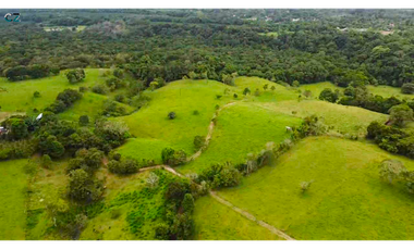 Finca de 4 hectáreas Potrerillo Abajo Chiriquí