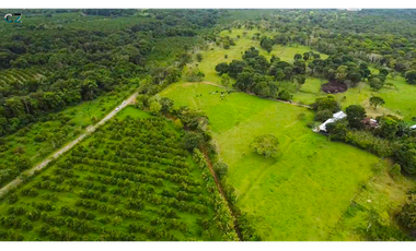 Finca de 4 hectáreas Potrerillo Abajo Chiriquí