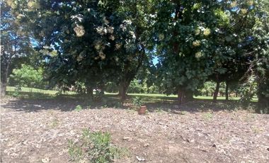 CORONADO / 1249 M / TERRENO PLANO / CLUB DE GOLF / AG