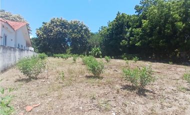 CORONADO / 1249 M / TERRENO PLANO / CLUB DE GOLF / AG