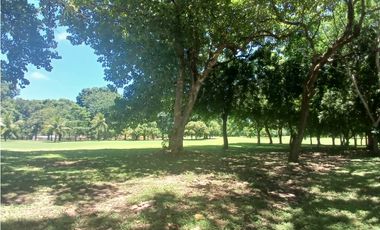 CORONADO / 1249 M / TERRENO PLANO / CLUB DE GOLF / AG