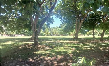 CORONADO / 1249 M / TERRENO PLANO / CLUB DE GOLF / AG