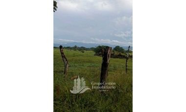 SE VENDE 30 HECTAREAS 420.000