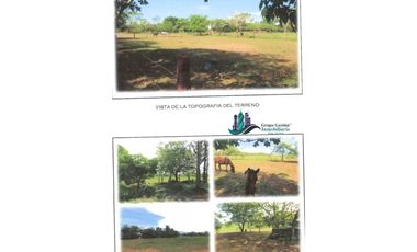 SE VENDE 30 HECTAREAS 420.000