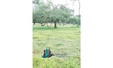 SE VENDE 30 HECTAREAS 420.000