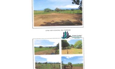 SE VENDE 30 HECTAREAS 420.000