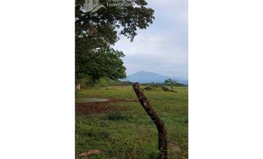 SE VENDE 30 HECTAREAS 420.000